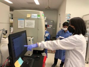 Cambodian National Dengue Control